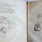 1806 ESSAYS on PHYSIOGNOMY by LAVATED 10 VOLUMES illustrated ANTIQUE