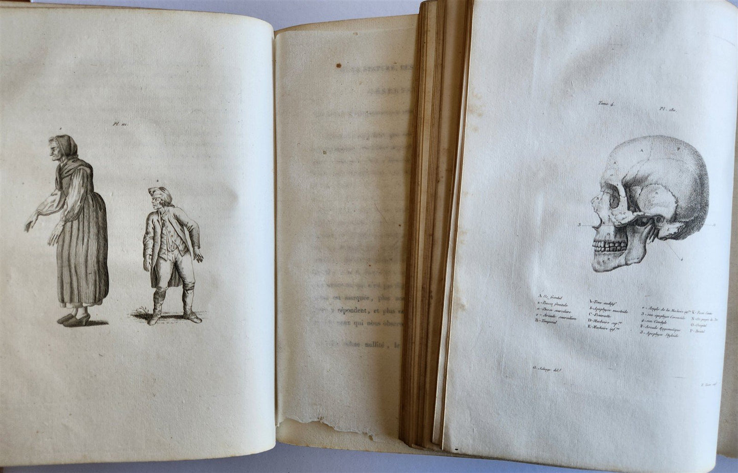 1806 ESSAYS on PHYSIOGNOMY by LAVATED 10 VOLUMES illustrated ANTIQUE