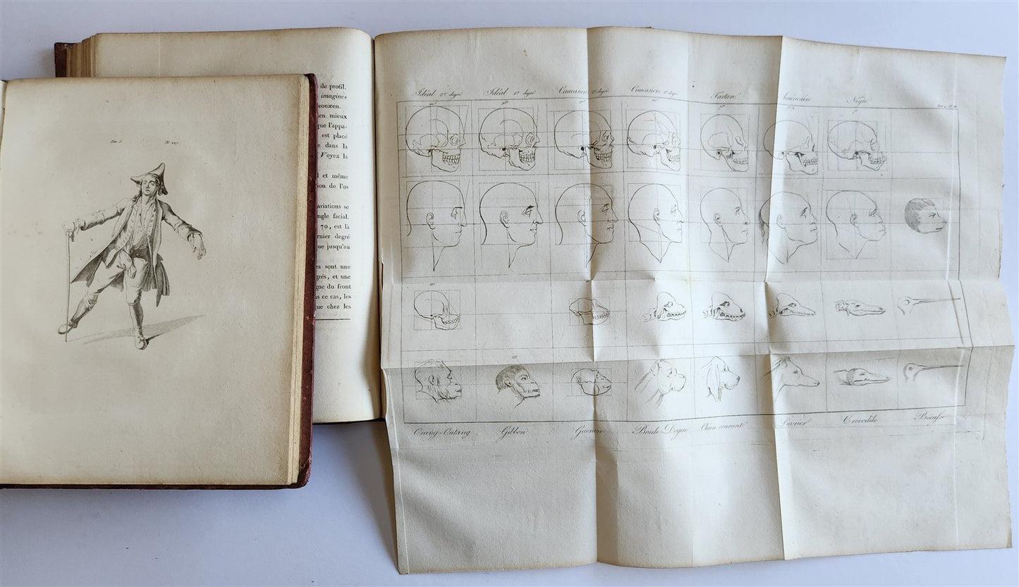 1806 ESSAYS on PHYSIOGNOMY by LAVATED 10 VOLUMES illustrated ANTIQUE
