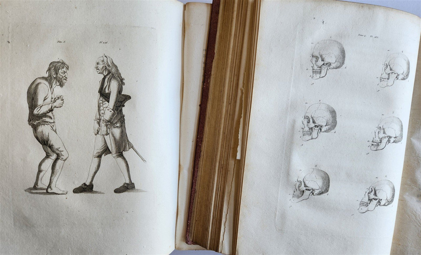 1806 ESSAYS on PHYSIOGNOMY by LAVATED 10 VOLUMES illustrated ANTIQUE