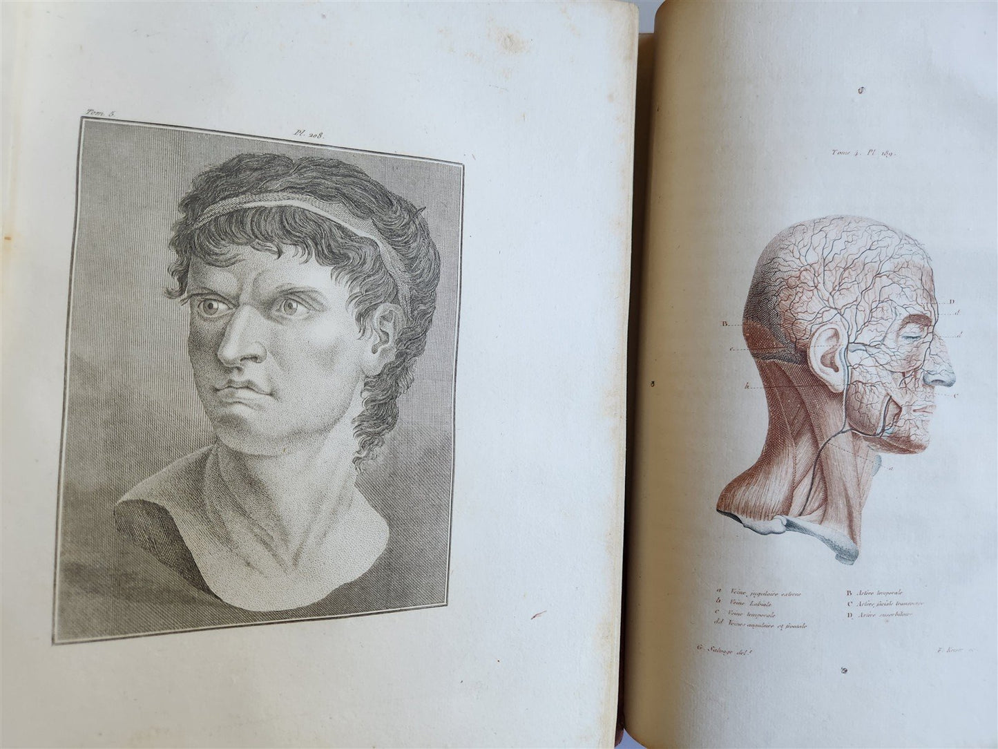 1806 ESSAYS on PHYSIOGNOMY by LAVATED 10 VOLUMES illustrated ANTIQUE