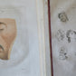 1806 ESSAYS on PHYSIOGNOMY by LAVATED 10 VOLUMES illustrated ANTIQUE