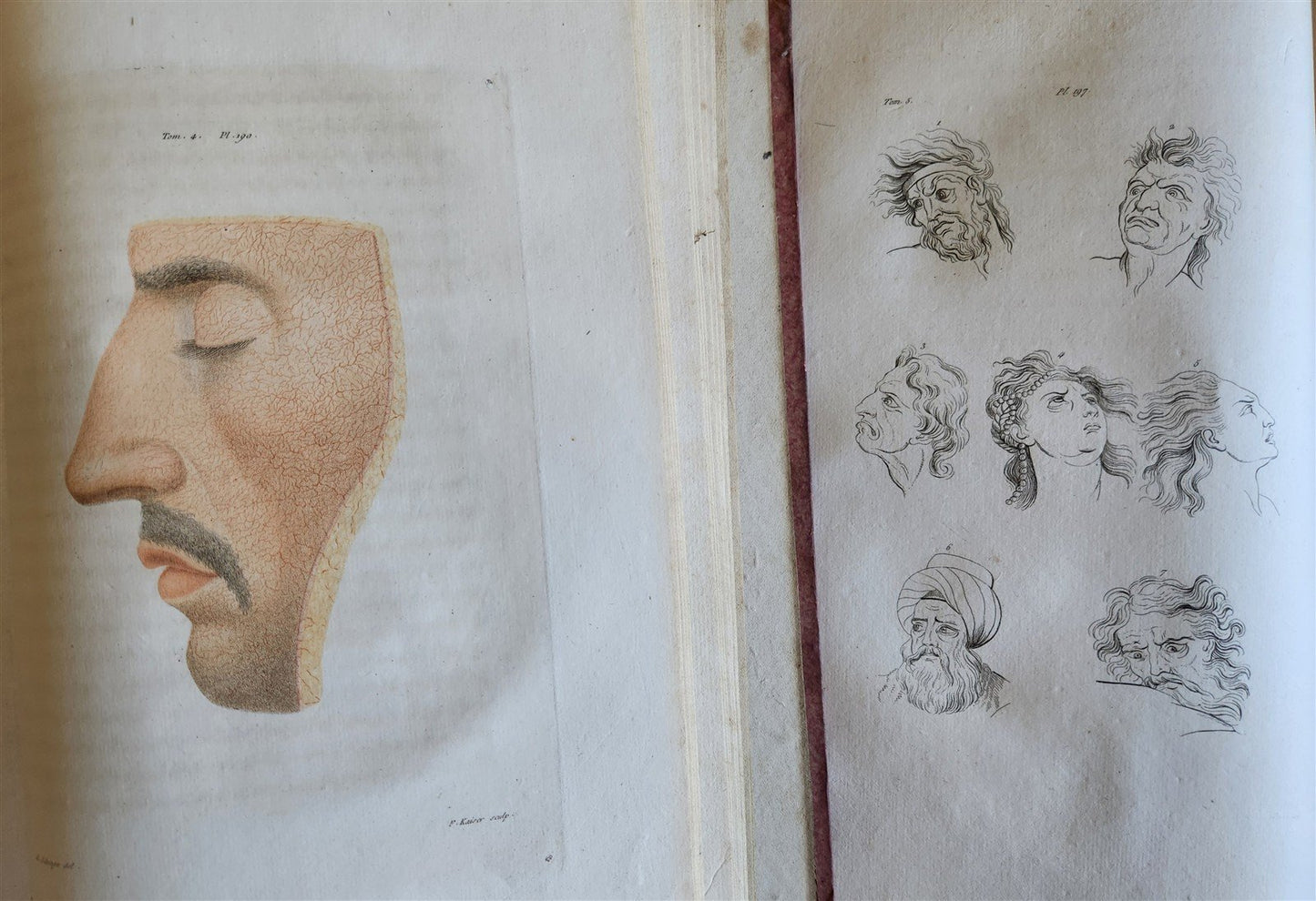 1806 ESSAYS on PHYSIOGNOMY by LAVATED 10 VOLUMES illustrated ANTIQUE