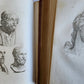 1806 ESSAYS on PHYSIOGNOMY by LAVATED 10 VOLUMES illustrated ANTIQUE