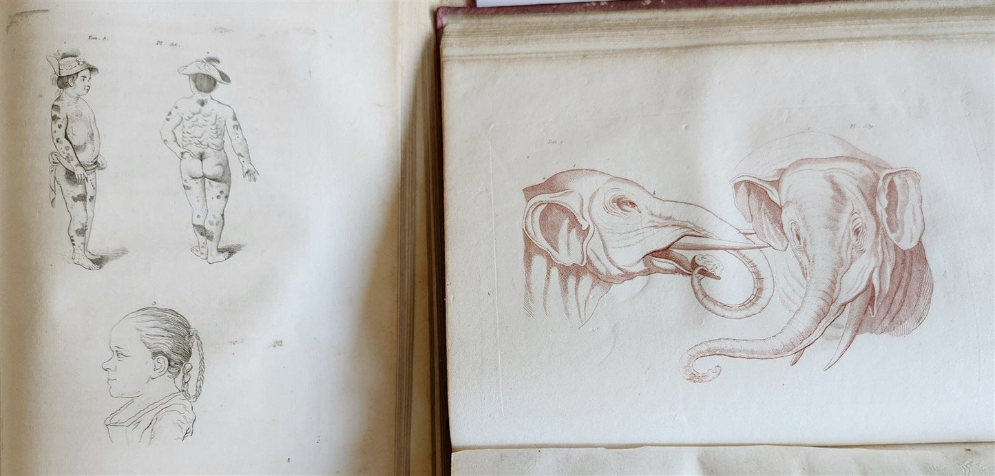 1806 ESSAYS on PHYSIOGNOMY by LAVATED 10 VOLUMES illustrated ANTIQUE