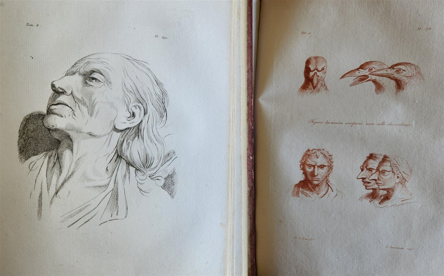 1806 ESSAYS on PHYSIOGNOMY by LAVATED 10 VOLUMES illustrated ANTIQUE