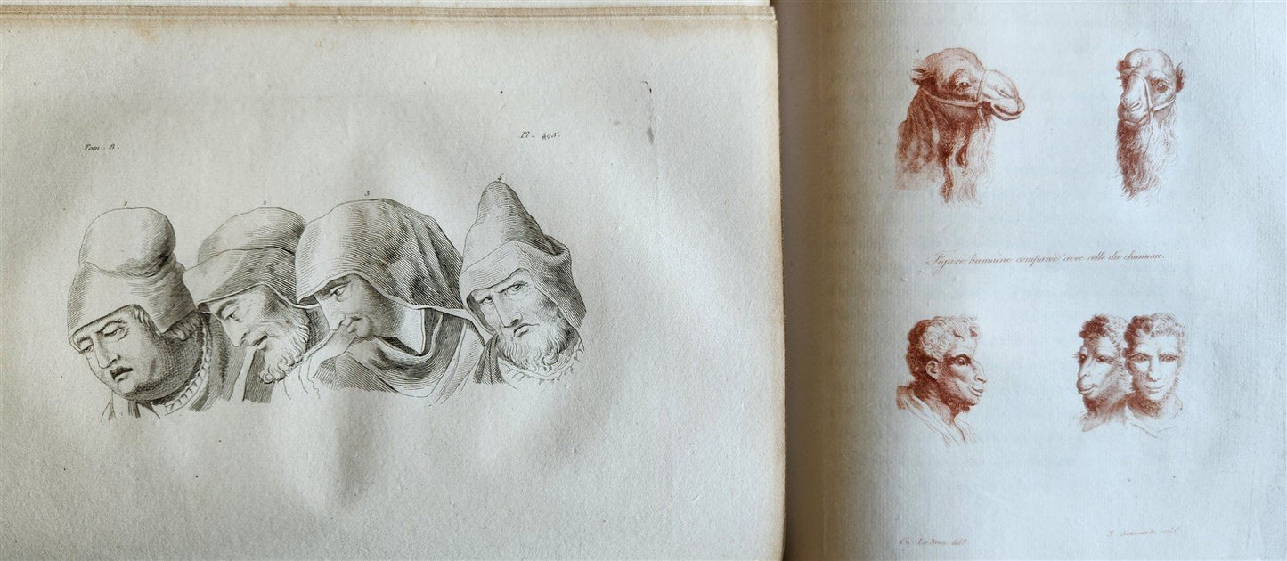 1806 ESSAYS on PHYSIOGNOMY by LAVATED 10 VOLUMES illustrated ANTIQUE