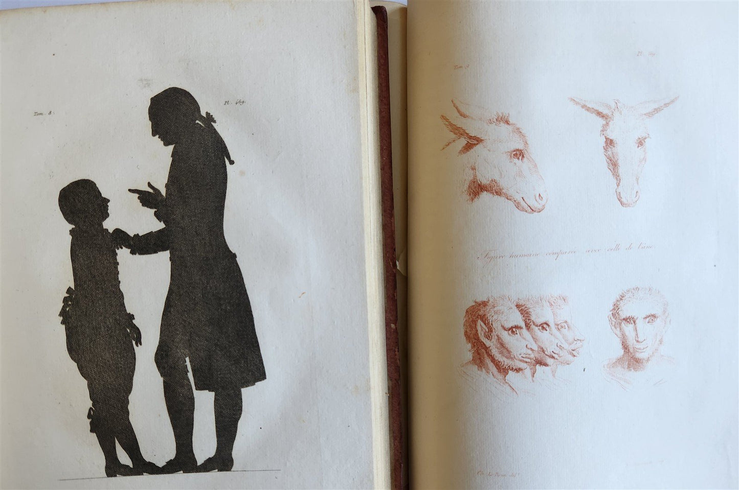 1806 ESSAYS on PHYSIOGNOMY by LAVATED 10 VOLUMES illustrated ANTIQUE