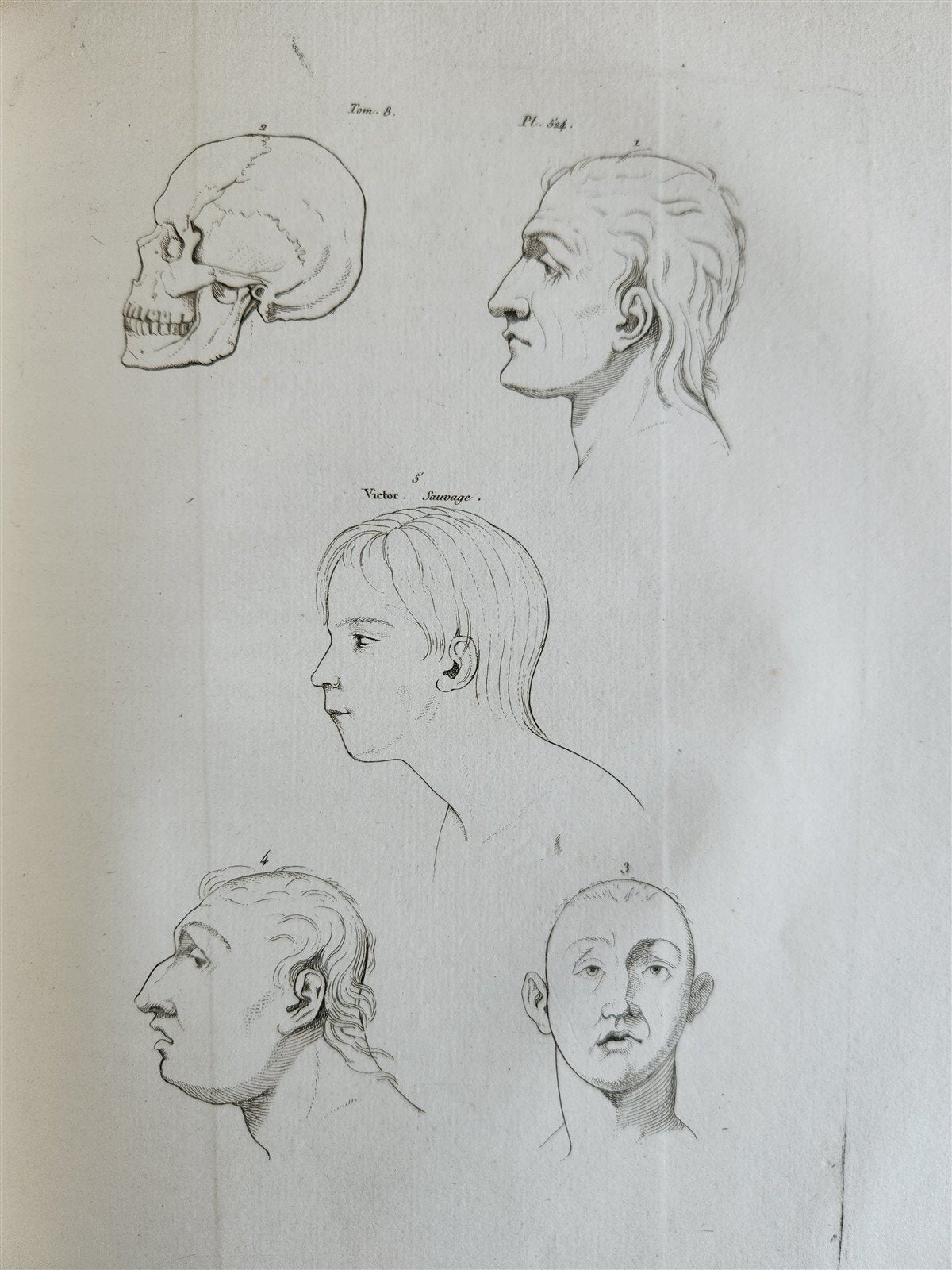 1806 ESSAYS on PHYSIOGNOMY by LAVATED 10 VOLUMES illustrated ANTIQUE