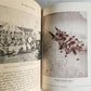 1913 RUSSIAN JAPANESE WAR by Count Reventlow ILLUSTRATED in German ANTIQUE