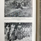 1928 DEMONS & SAVAGES in NEW GUINEA in GERMAN ILLUSTRATED ANTIQUE