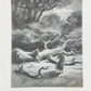 1867 VIVIEN by ALFRED TENNYSON ILLUSTRATED by GUSTAVE DORE antique FOLIO poetry