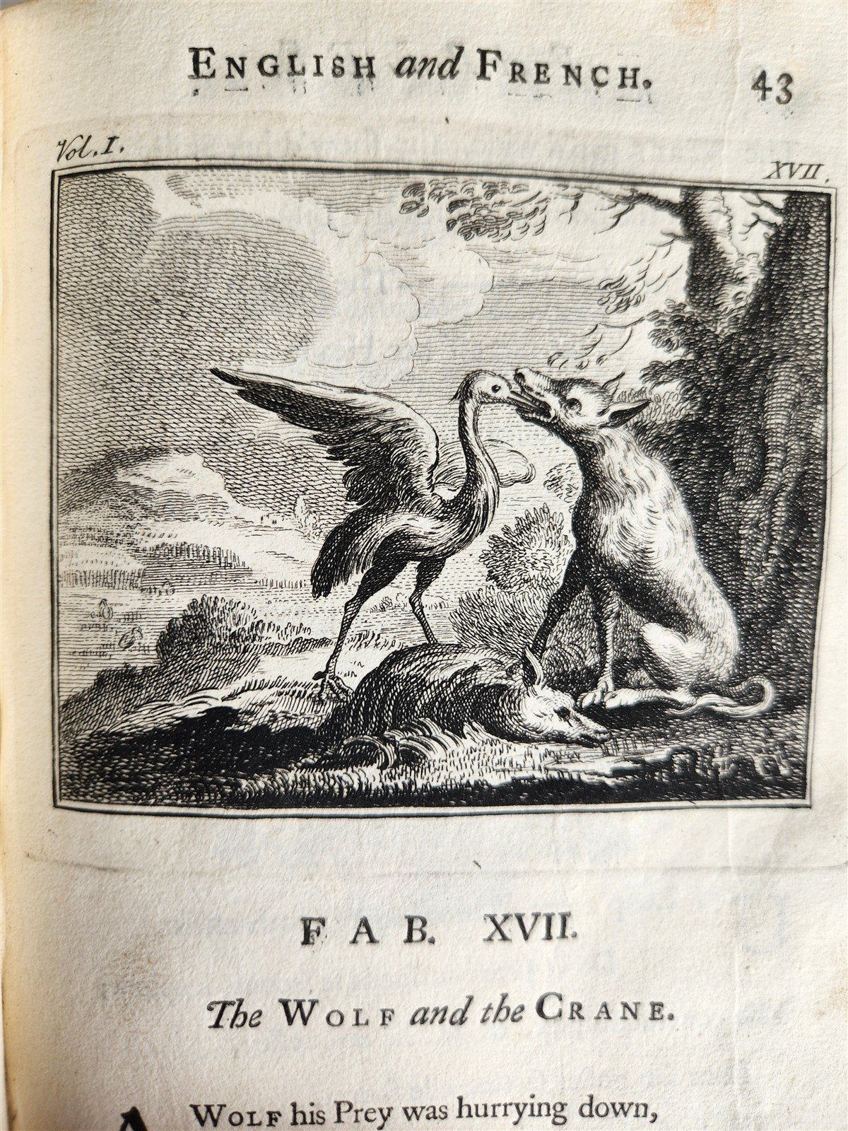 1741 Fables in English and French Verse by Gabriel Faerno ANTIQUE illustrated