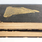 1847 PUBLIC & PRIVATE HISTORY of POPES of ROME illustrated ANTIQUE in English