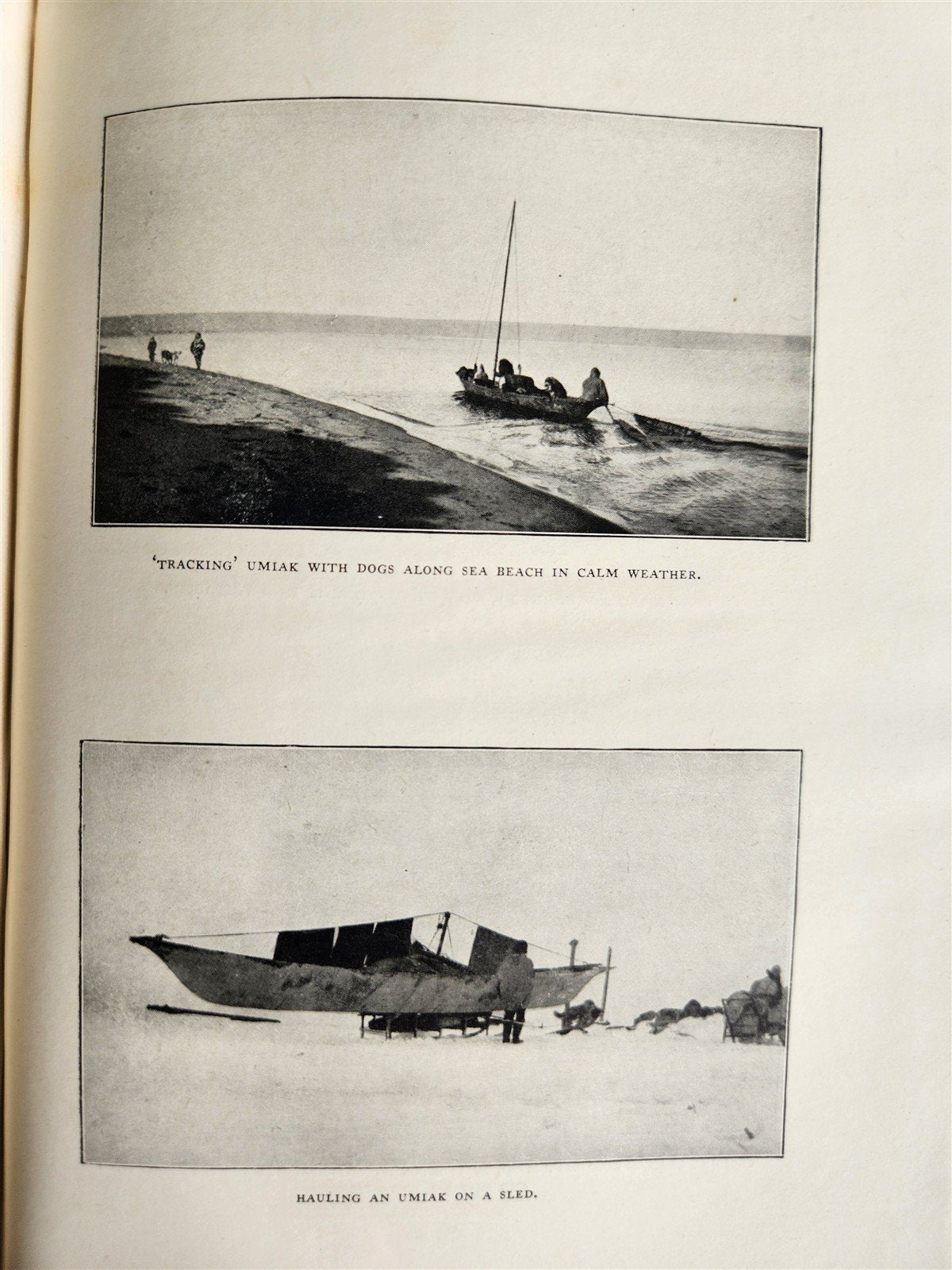 1926 THE ADVENTURE of WRANGEL ISLAND illustrated ANTIQUE
