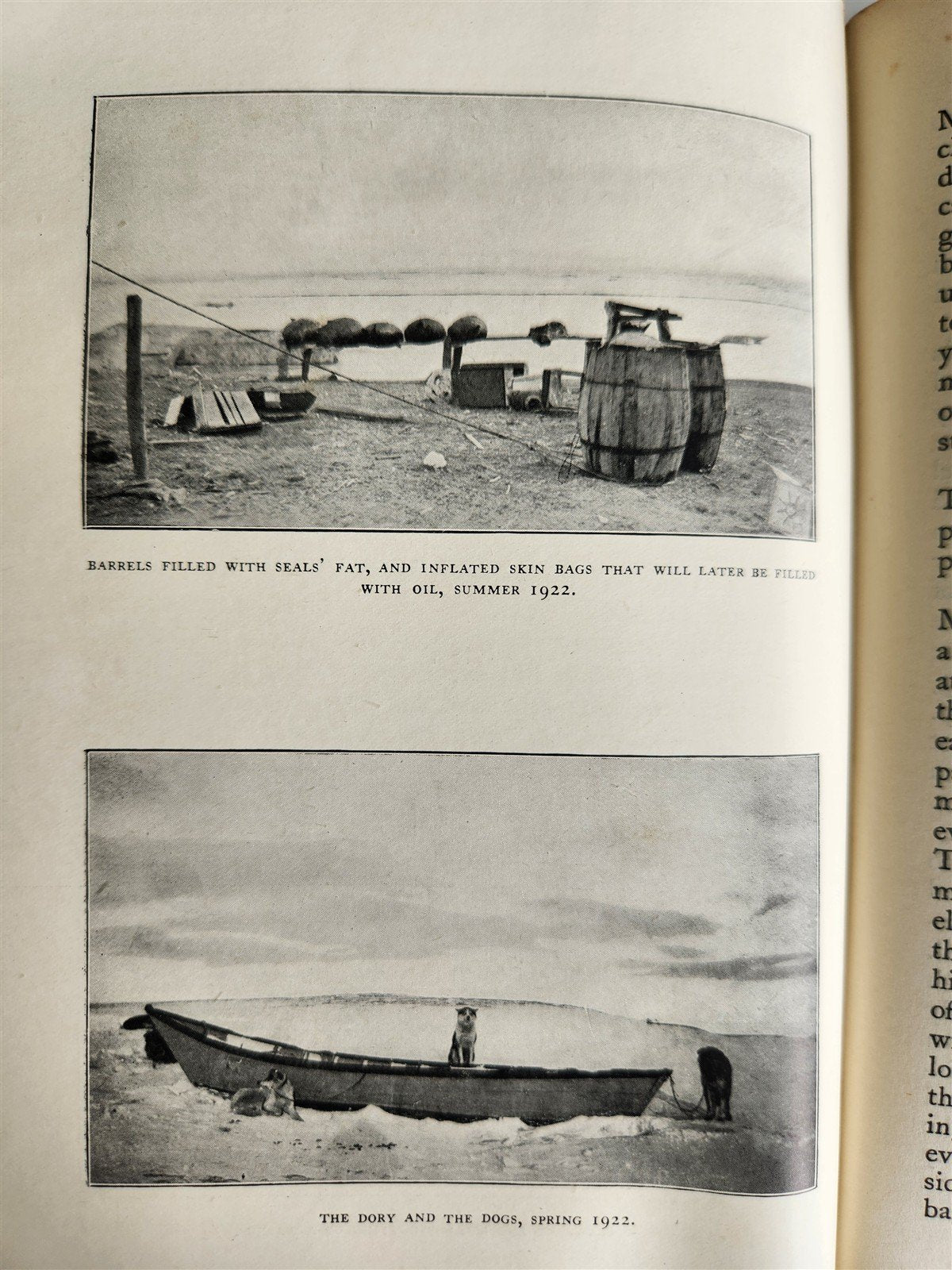 1926 THE ADVENTURE of WRANGEL ISLAND illustrated ANTIQUE