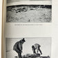 1926 THE ADVENTURE of WRANGEL ISLAND illustrated ANTIQUE