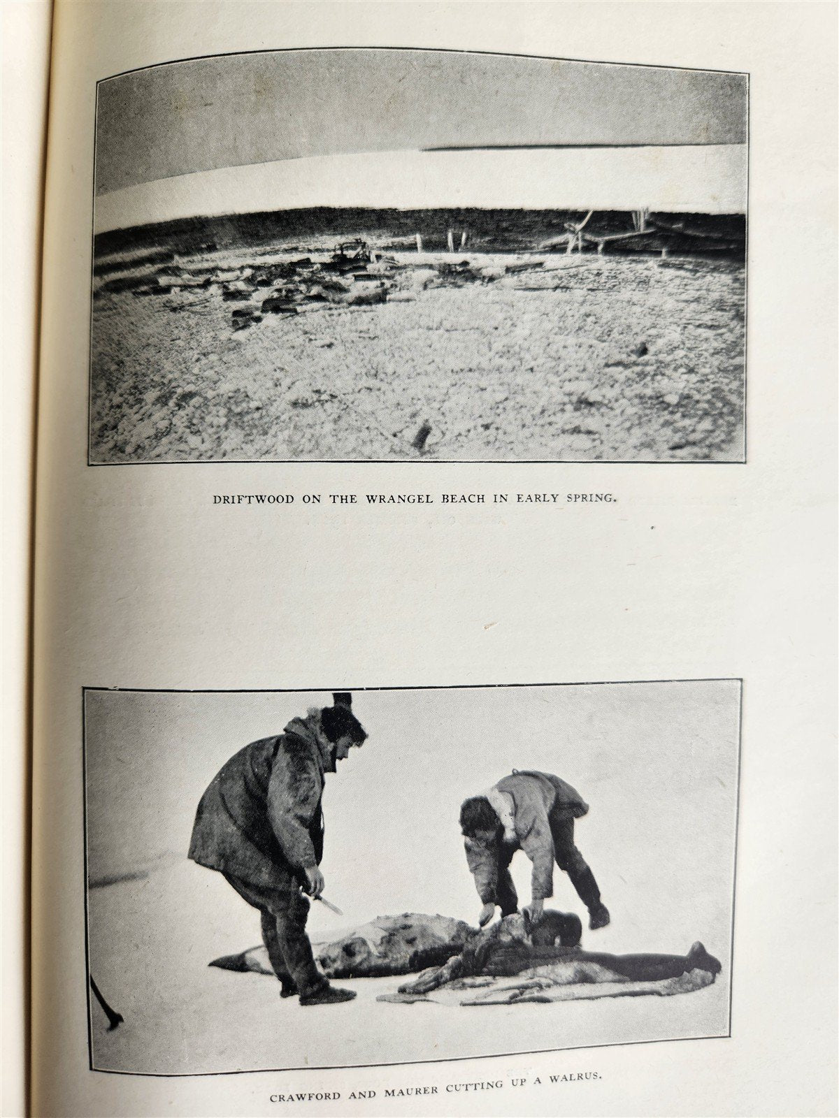 1926 THE ADVENTURE of WRANGEL ISLAND illustrated ANTIQUE