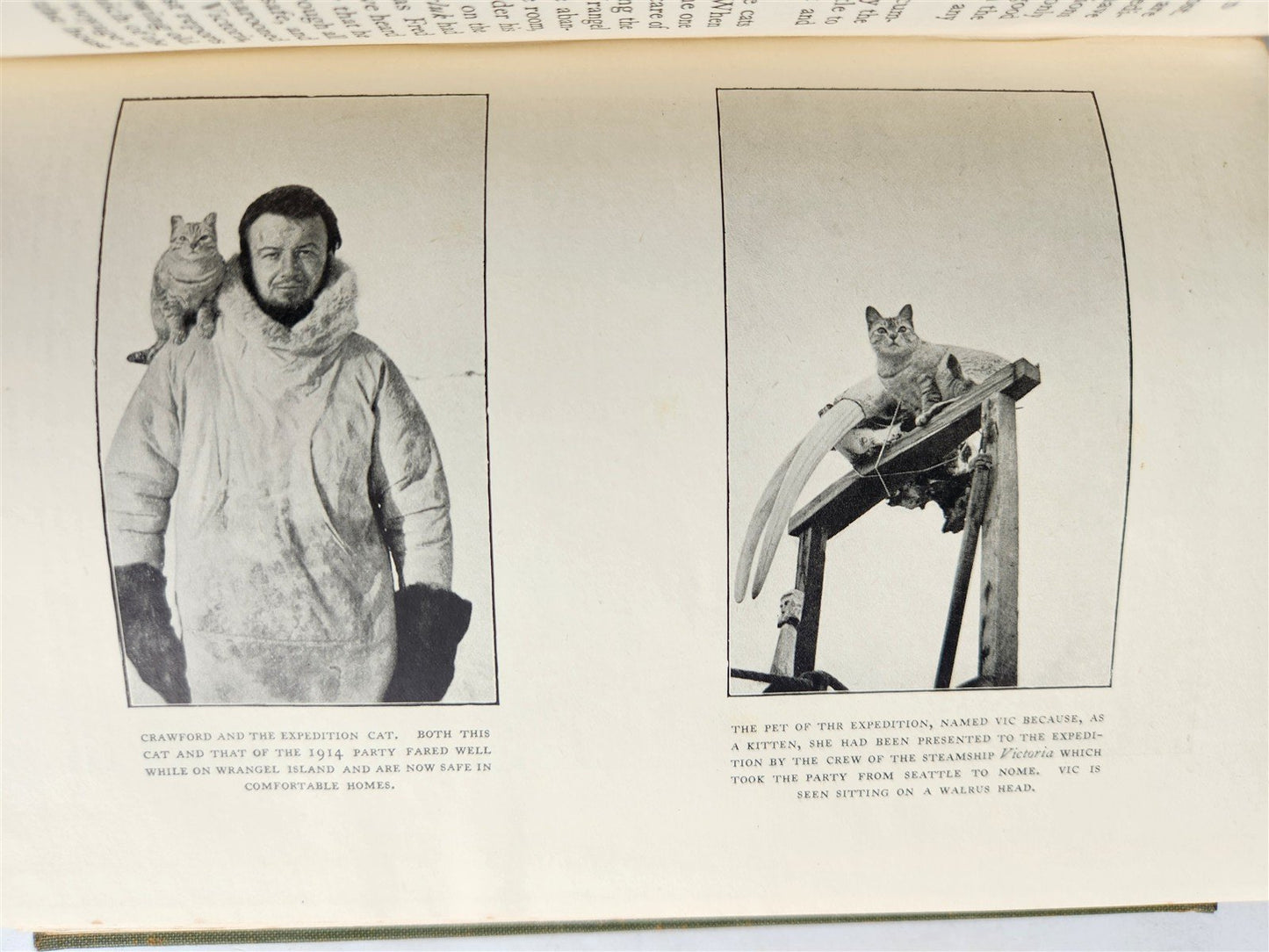 1926 THE ADVENTURE of WRANGEL ISLAND illustrated ANTIQUE