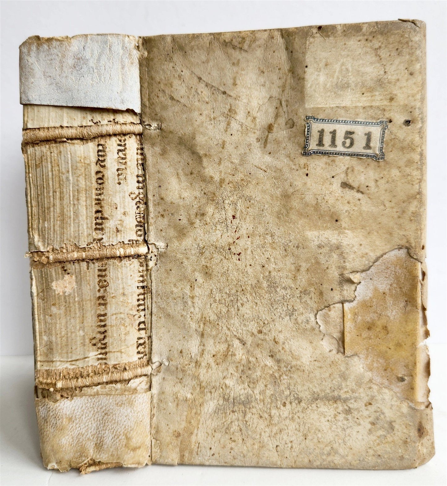 1545 BIBLE COMMENTARIES by Dionysius the Carthusian ANTIQUE vellum 16th CENTURY