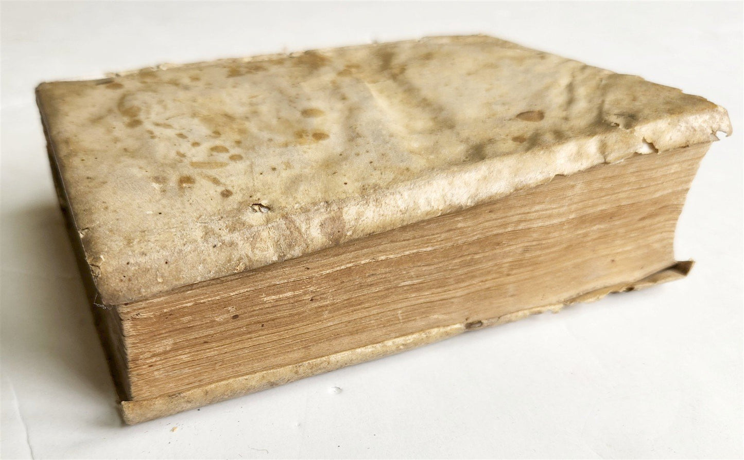 1545 BIBLE COMMENTARIES by Dionysius the Carthusian ANTIQUE vellum 16th CENTURY