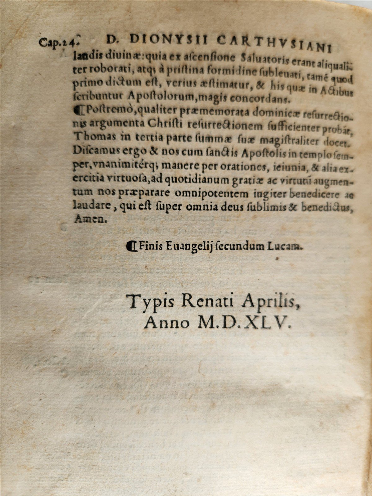 1545 BIBLE COMMENTARIES by Dionysius the Carthusian ANTIQUE vellum 16th CENTURY