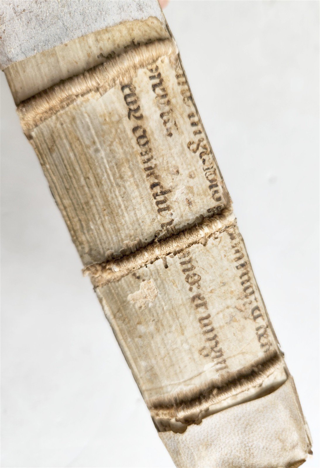 1545 BIBLE COMMENTARIES by Dionysius the Carthusian ANTIQUE vellum 16th CENTURY