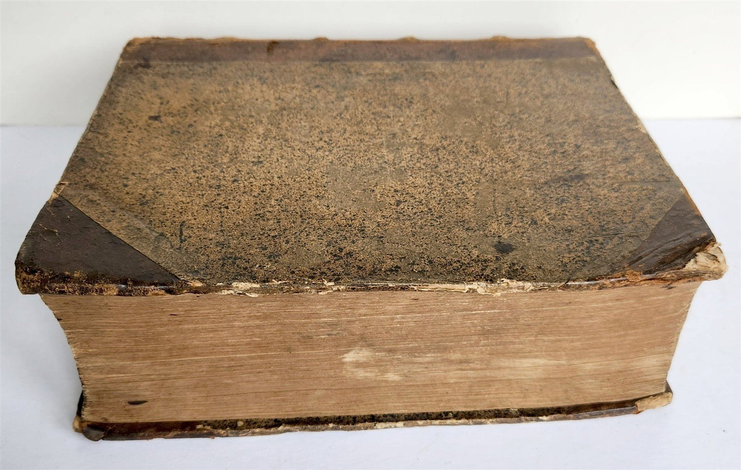 1648 HISTORY of BABYLONIA PERSIA ASSYRIA GREECE & ROMAN EMPIRE antique ELZEVIER