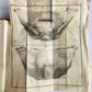 1777 ANATOMIE HISTORIQUE et PRATIQUE antique ILLUSTRATED