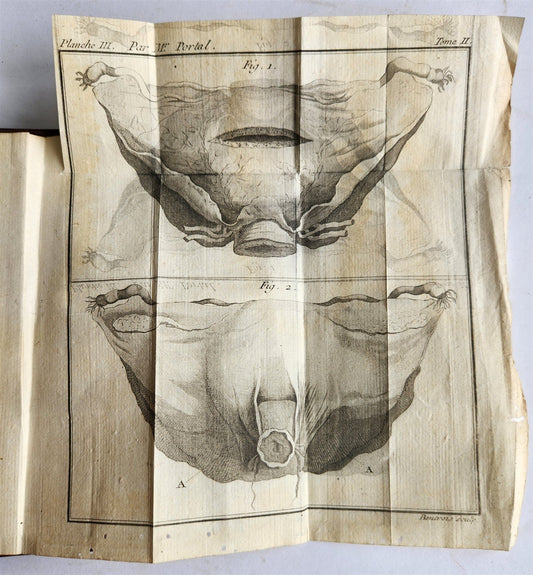 1777 ANATOMIE HISTORIQUE et PRATIQUE antique ILLUSTRATED