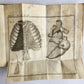 1777 ANATOMIE HISTORIQUE et PRATIQUE antique ILLUSTRATED