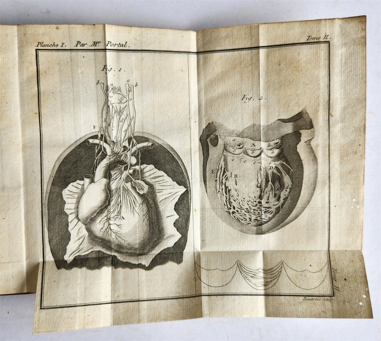 1777 ANATOMIE HISTORIQUE et PRATIQUE antique ILLUSTRATED