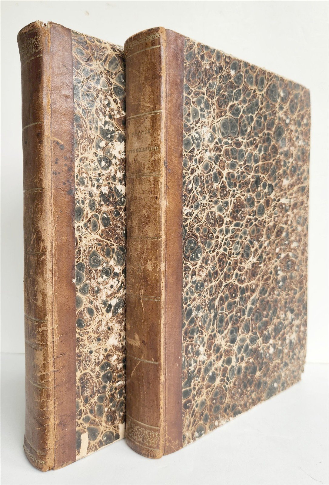 1835 PICTURESQUE FRANCE antique 2 volumes ILLUSTRATED France pittoresque