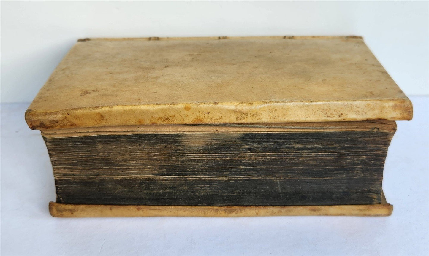 1647 RATIONE STATUS in IMPERIO NOSTRO ROMANO-GERMANICO antique VELLUM BINDING