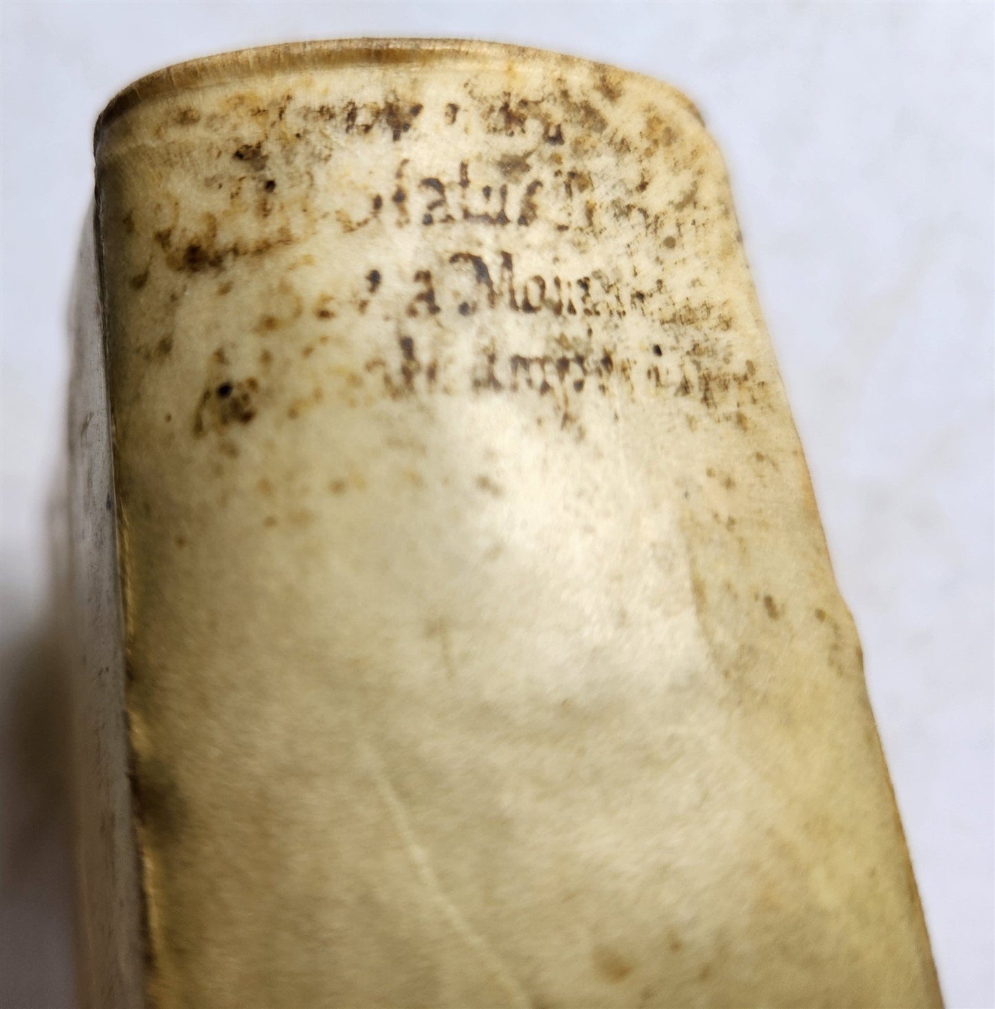 1647 RATIONE STATUS in IMPERIO NOSTRO ROMANO-GERMANICO antique VELLUM BINDING