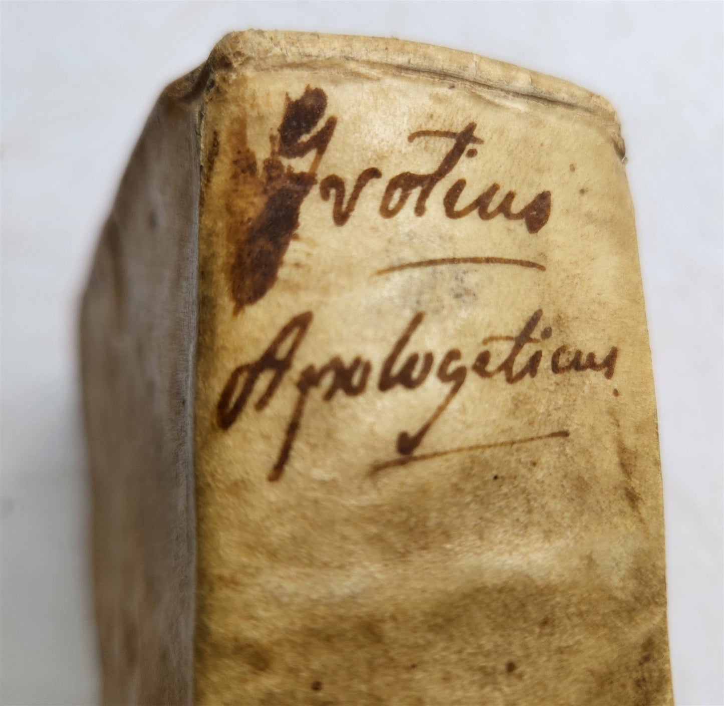 1622 APOLOGETICUS EORUM QVI HOLLANDIAE by Hugone Grotio antique VELLUM BINDING