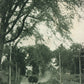 NORTH ROYALTON VT STREET SCENE ANTIQUE POSTCARD