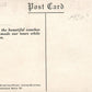 WASHINGTON DC SIGHT SEEING COACHES AT LINCOLN MEMORIAL ANTIQUE POSTCARD