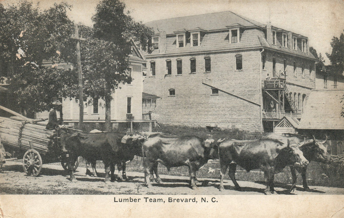 BREVARD NC LUMBER TEAM ANTIQUE POSTCARD