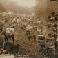 HOLLOW PARK TN BUGGY YARD ANTIQUE REAL PHOTO POSTCARD RPPC