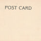 ORANGE MOUNTAIN TN TROLLEY COMING FROM EAGLE ROCK ANTIQUE POSTCARD