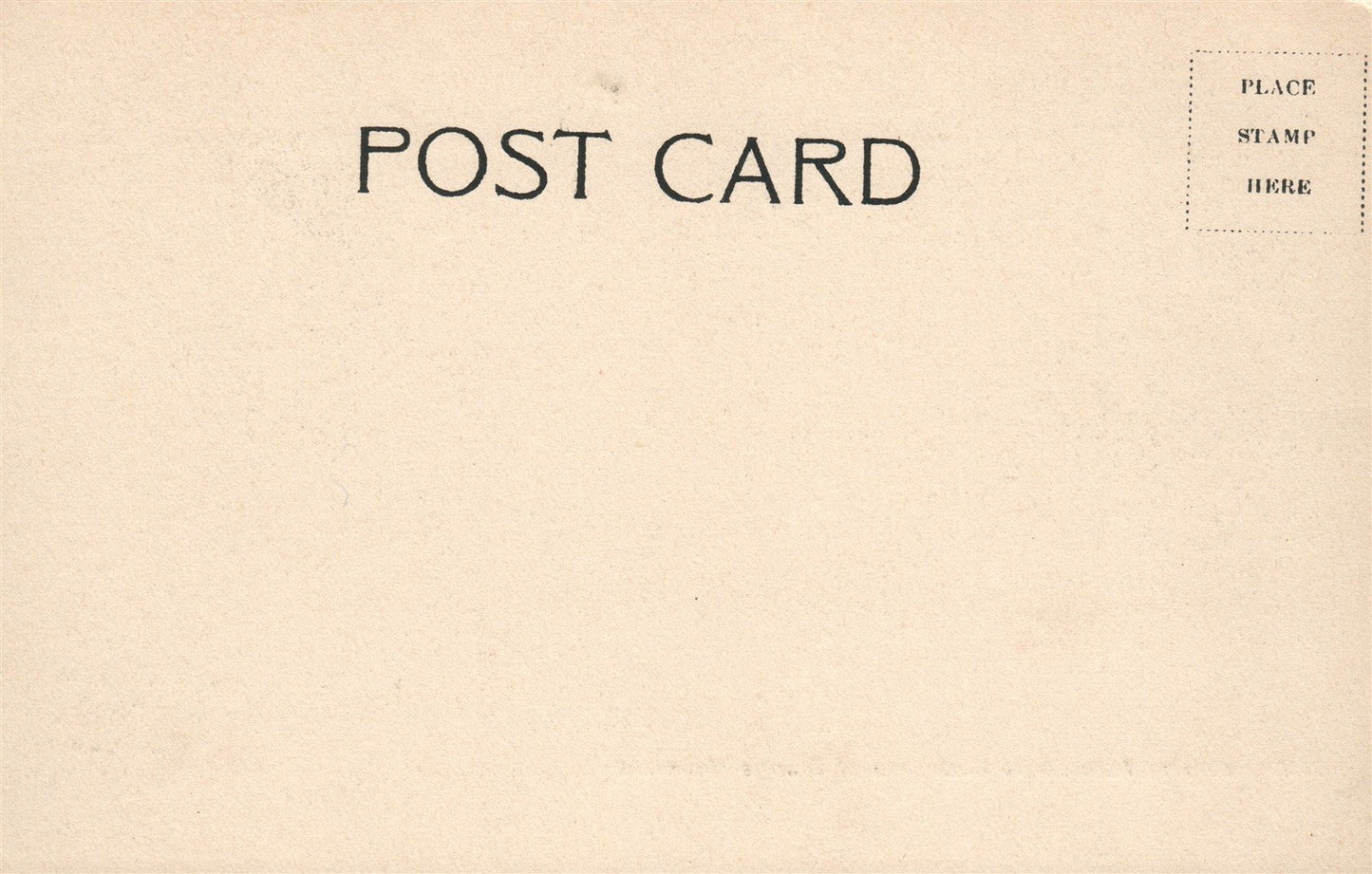 ORANGE MOUNTAIN TN TROLLEY COMING FROM EAGLE ROCK ANTIQUE POSTCARD