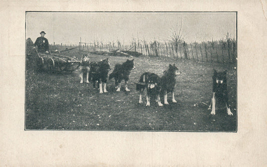 ELI SMITH LEAVES WASHINGTON DC for NYC w/ TEAM of WOLVES & DOGS ANTIQUE POSTCARD