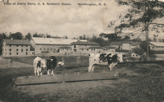WASHINGTON DC DAIRY BARN US SOLDIERS' HOME ANTIQUE POSTCARD