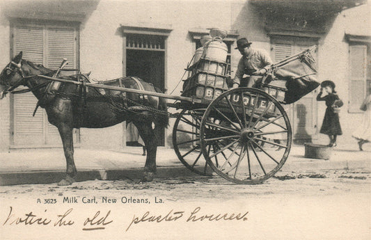 NEW ORLEANS LA MILK CART ANTIQUE POSTCARD