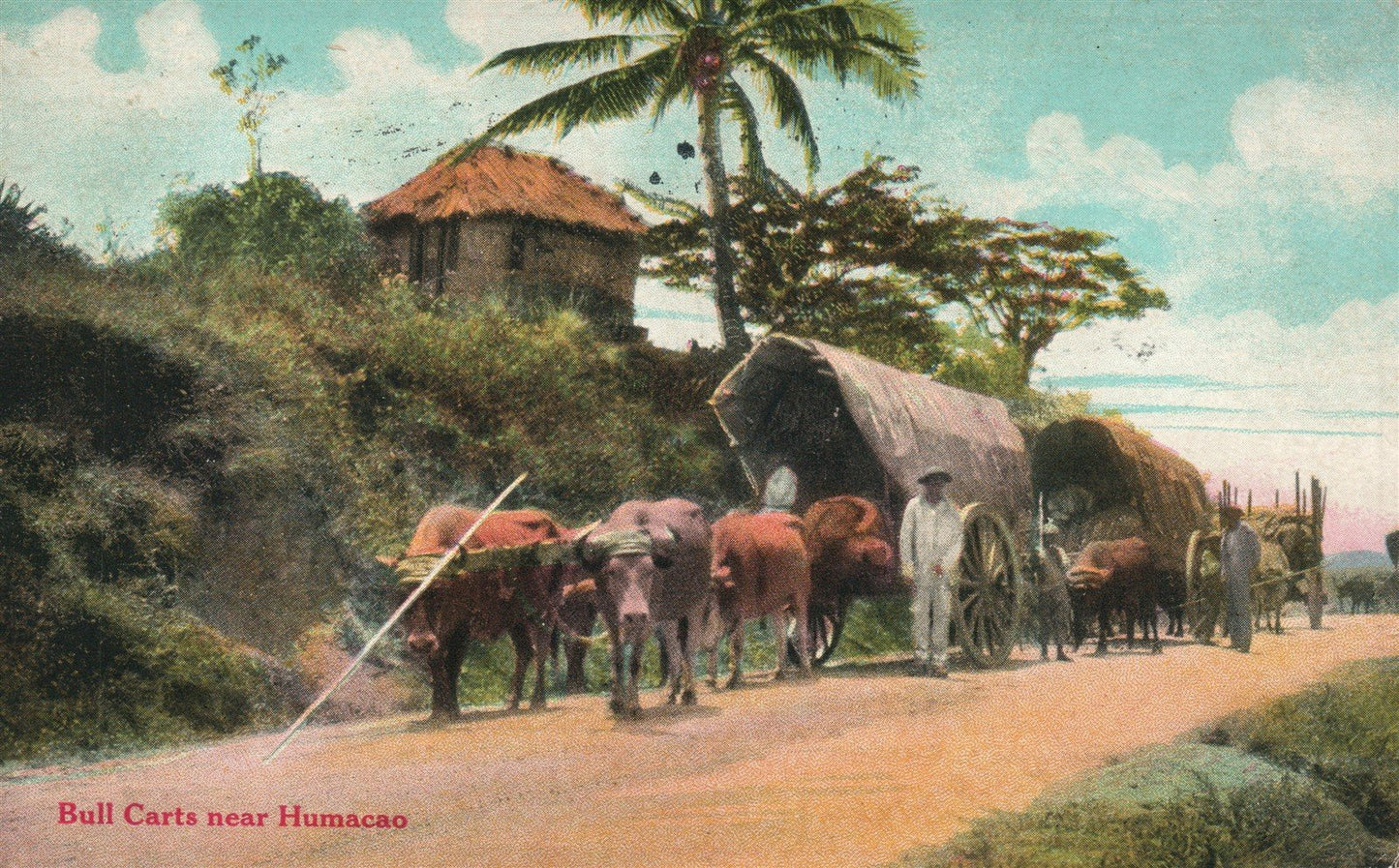 HUMACAO PR BUFFALO CARTS PORTO RICAN VIEWS ANTIQUE POSTCARD