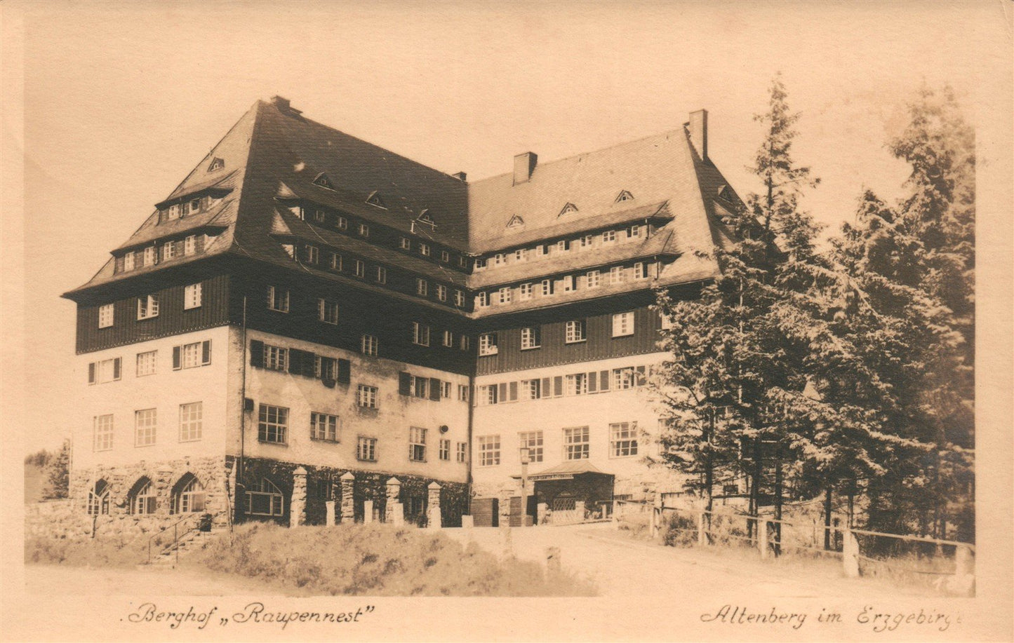 ALTENBERG/ERZGEBIRGE GERMANY BERGHOF RAUPENNEST ANTIQUE REAL PHOTO POSTCARD RPPC