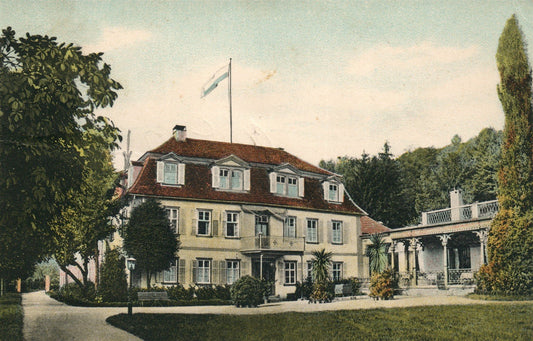 BAD BRUCKENAU GERMANY SCHLOSS HOTEL ANTIQUE POSTCARD