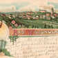 BAD WILDUNGEN GERMANY ANTIQUE POSTCARD
