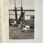 1915 HOME of BLIZZARD AUSTRALASIAN ANTARCTIC EXPEDITION antique ILLUSTRATED